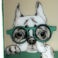 Foto del perfil de iwtps